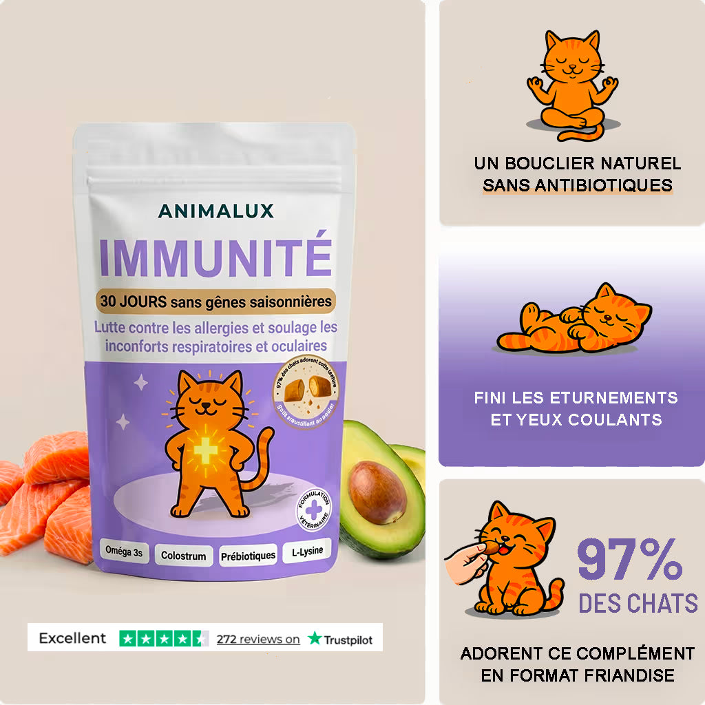 Bouchées Immunité