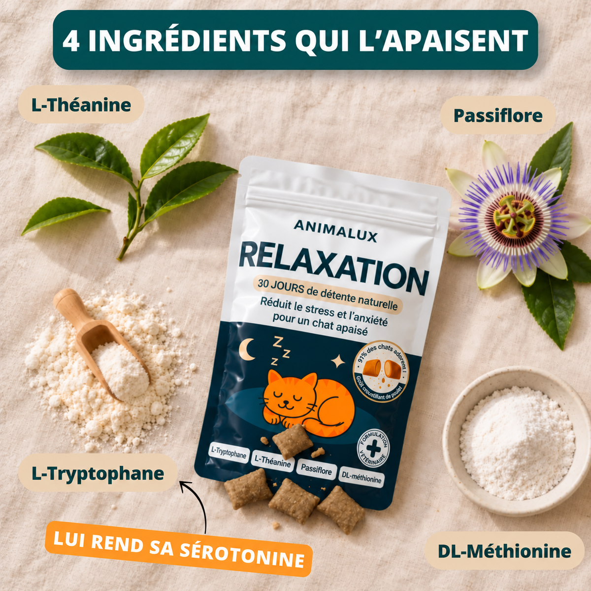 Complément Relaxation