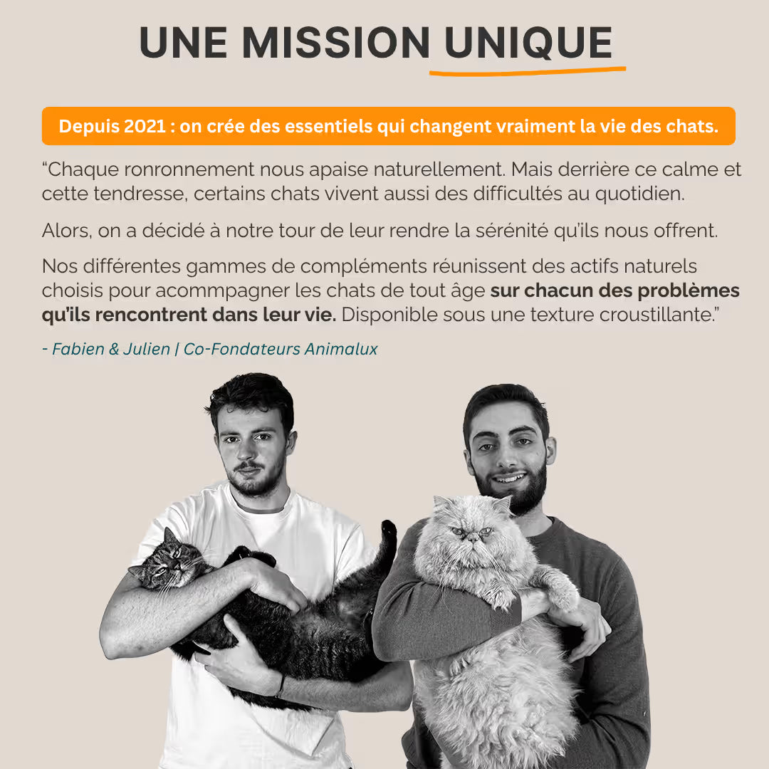 Bouchées Immunité