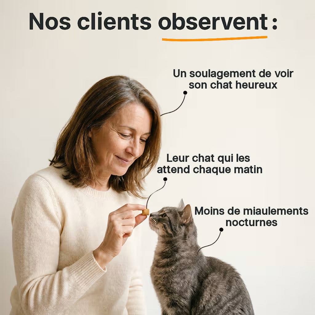 Bouchées Immunité