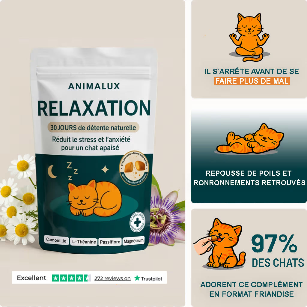 Complément Relaxation