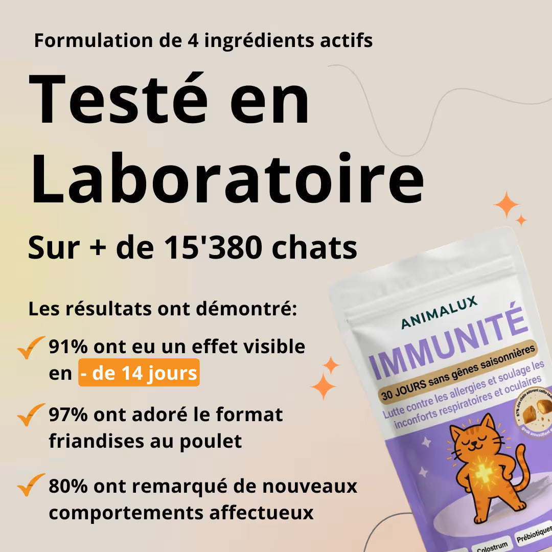 Bouchées Immunité