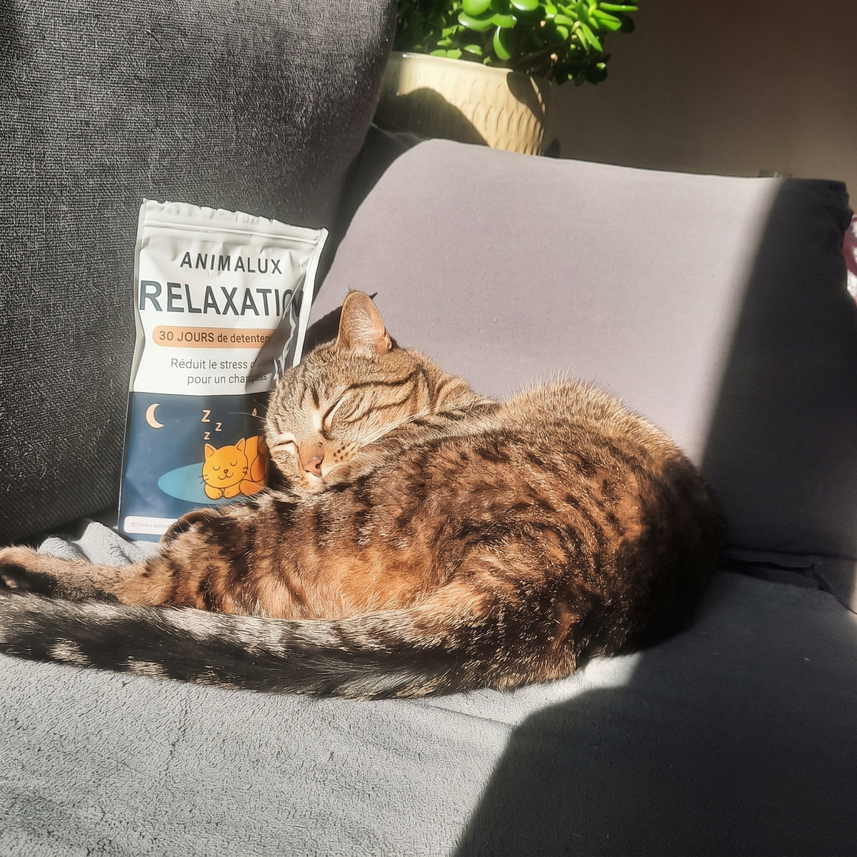 Complément Relaxation