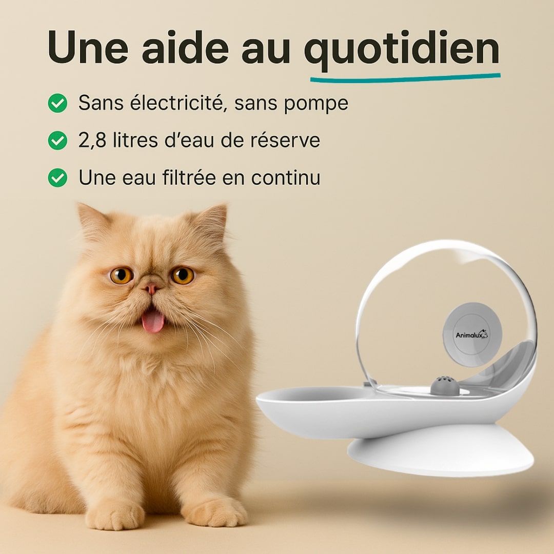 Fontaine AquaFons