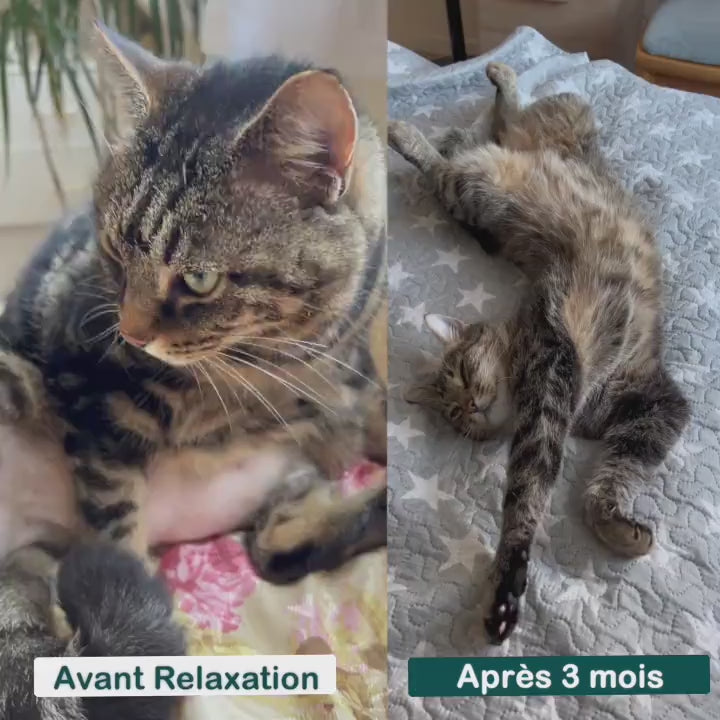 Complément Relaxation